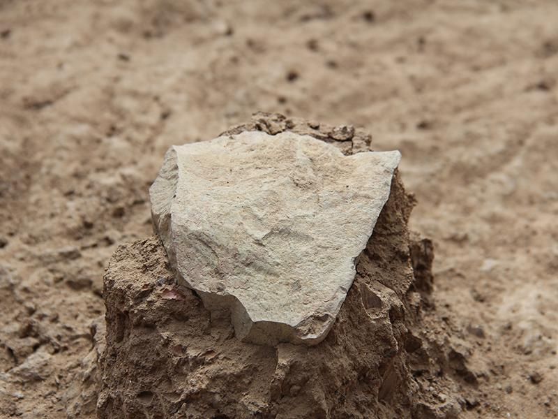 A picture of a flattened stone resting atop a small pile of dirt